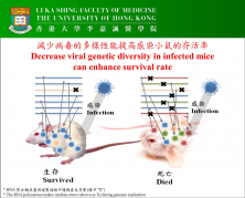 Study found that decrease viral genetic diversity in infected mice can enhance survival rate.    